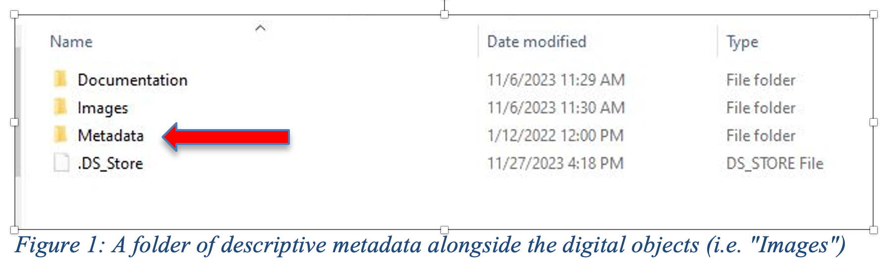 Metadata Folder in a Collection